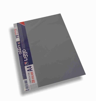Carpeta con folios